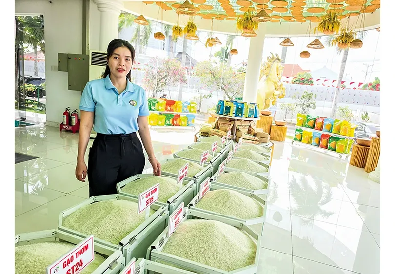 Đảm bảo đầu ra bền vững cho lúa gạo của Đề án 1 triệu héc-ta lúa