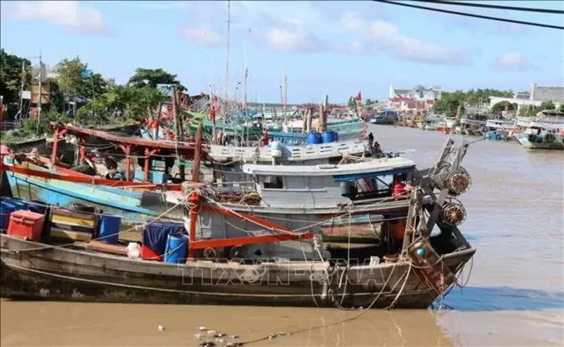 Quản lý đội tàu, kiểm soát chặt hoạt động khai thác thủy sản