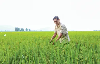 Từ chống chịu đến đột phá tăng trưởng