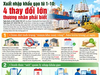 [INFOGRAPHICS] Xuất nhập khẩu gạo từ 1-10: 4 thay đổi lớn thương nhân phải biết