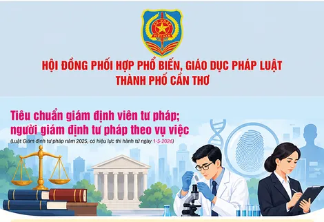 [INFOGRAPHICS] Tiêu chuẩn giám định viên tư pháp; người giám định tư pháp theo vụ việc