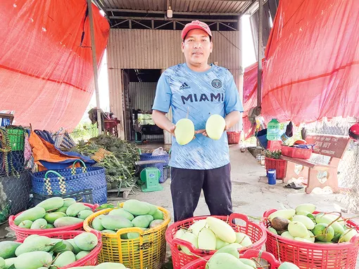 Dạo quanh thị trường