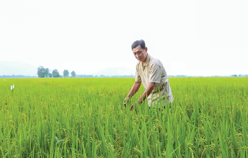 Từ chống chịu đến đột phá tăng trưởng