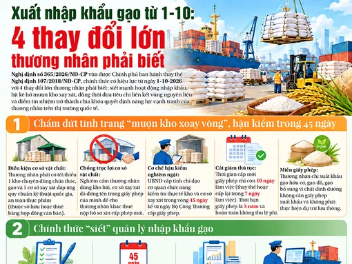 [INFOGRAPHICS] Xuất nhập khẩu gạo từ 1-10: 4 thay đổi lớn thương nhân phải biết