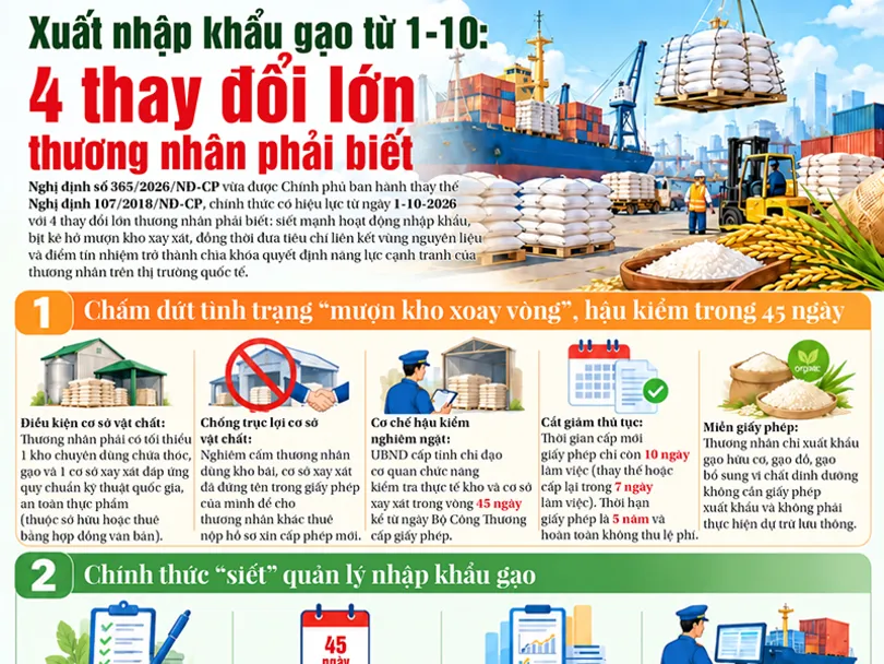 [INFOGRAPHICS] Xuất nhập khẩu gạo từ 1-10: 4 thay đổi lớn thương nhân phải biết