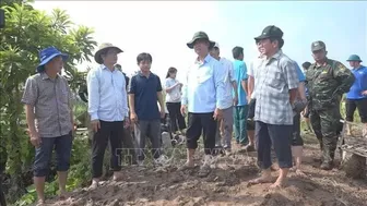 Khẩn trương khắc phục sạt lở đê bao cồn Cái Gà