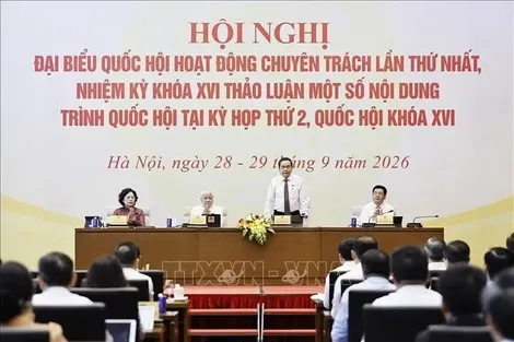 Đề xuất phân tầng chính sách thuế thu nhập đối với doanh nghiệp nhỏ và vừa