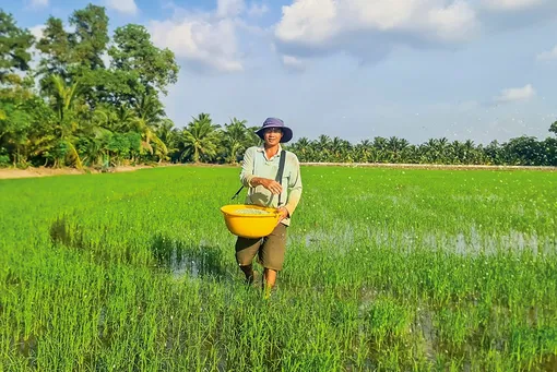 Quy định về canh tác hữu cơ trên địa bàn TP Cần Thơ