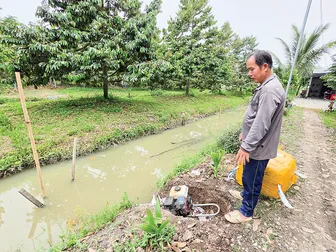 Chủ động bảo vệ vườn cây ăn trái mùa mưa lũ