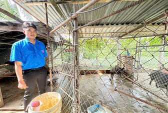 ប្រ​សិទ្ធ​ភាព​ដំ​បូង​ពី​ទម្រង់​ចិញ្ចឹម​ជ្រូក​ព្រៃ​