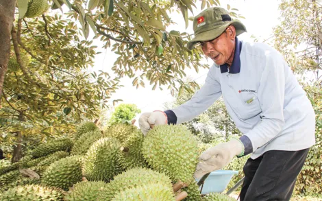 Hình thành hệ sinh thái tài chính xanh cho nông nghiệp xanh, phát thải thấp