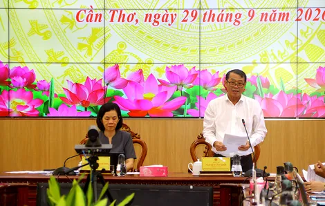 Trung ương Hội Liên hiệp Phụ nữ Việt Nam giám sát Luật Bình đẳng giới tại TP Cần Thơ