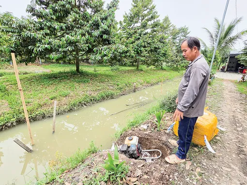 Chủ động bảo vệ vườn cây ăn trái mùa mưa lũ