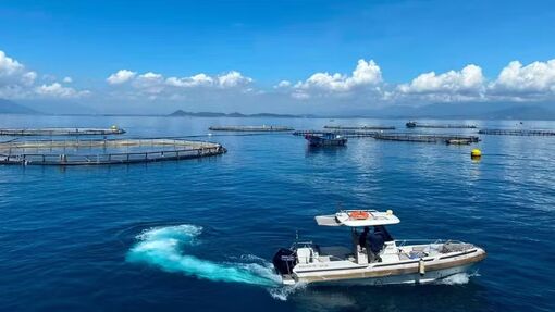 Vietnam unlocks new development space from sea