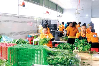 Cần Thơ thu ngân sách nhà nước hơn 20.500 tỉ đồng