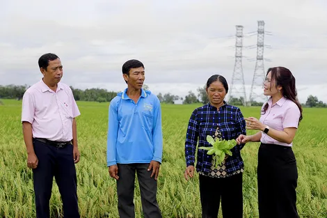 Phát huy nguồn vốn chính sách, hỗ trợ tạo việc làm