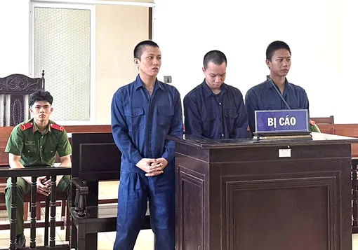 Tổ chức sử dụng ma túy, 3 bị cáo lãnh án