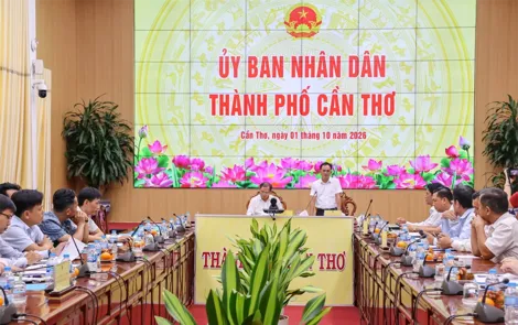 Tăng cường công tác đo đạc, lập bản đồ, hồ sơ địa chính và hoàn thành cơ sở dữ liệu quốc gia về đất đai