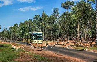 Nắm giữ “kỷ lục kép” thế giới - Vinpearl Safari Phú Quốc “khủng” cỡ nào?
