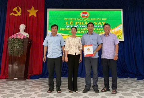Hỗ trợ vốn vay xây dựng vùng sản xuất lúa chất lượng cao