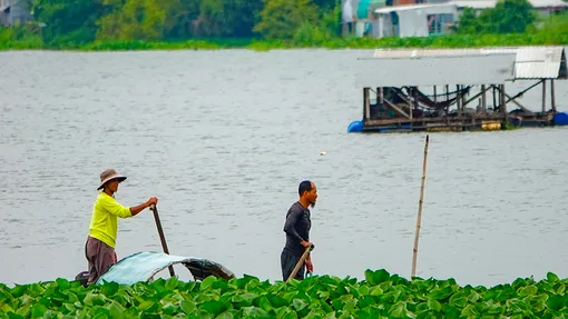 Mùa nước nổi ở búng Bình Thiên