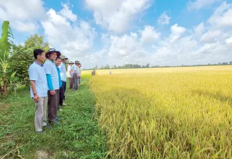 Nâng cao chất lượng và giá trị gia tăng cho sản phẩm nông nghiệp