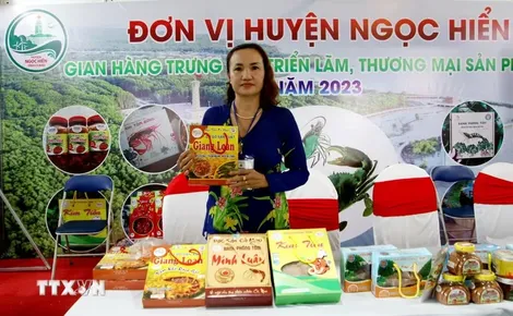 Cà Mau tổ chức Cuộc thi “Người đẹp Đất Mũi qua ảnh” lần thứ 1, năm 2026
