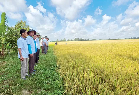 Nâng cao chất lượng và giá trị gia tăng cho sản phẩm nông nghiệp