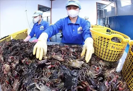 Thúc đẩy phát triển kinh tế nhà nước, kinh tế tư nhân và ứng dụng KHCN