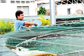 Cùng “giải bài toán” để ĐBSCL tăng trưởng 2 con số