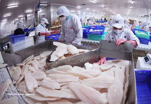 Vietnam, Canada unlock new cooperation opportunities