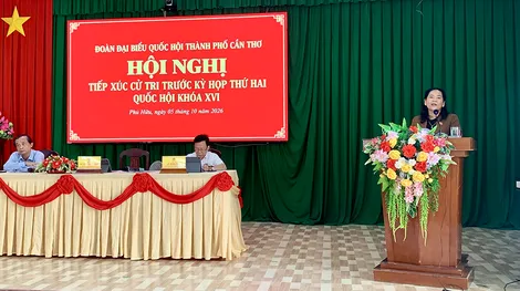Cử tri kiến nghị đẩy nhanh tiến độ dự án và đầu tư, nâng cấp hạ tầng nông thôn