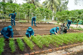 “Phủ xanh” doanh trại