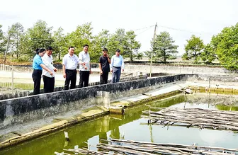 Thi đua Dân vận khéo, tạo đà phát triển mạnh mẽ