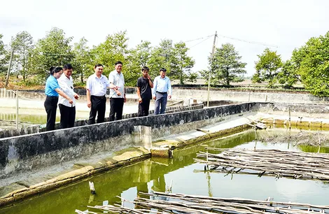 Thi đua Dân vận khéo, tạo đà phát triển mạnh mẽ