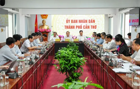 Cần Thơ điều chỉnh kịch bản tăng trưởng quý IV và cả năm 2026