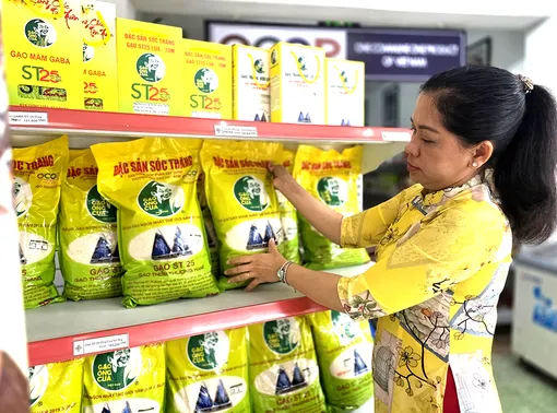 Hình thành hệ sinh thái hỗ trợ toàn diện chuỗi giá trị tài sản trí tuệ