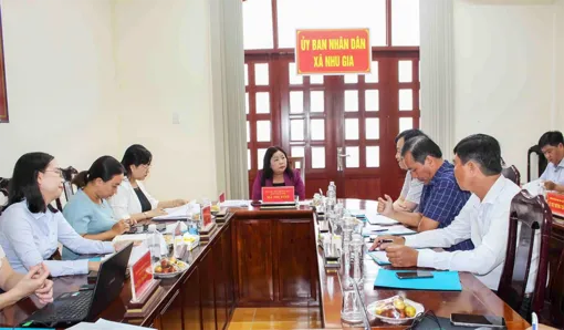 Khảo sát việc triển khai thực hiện các nghị quyết HĐND thành phố tại xã Nhu Gia