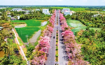 Bài 4: Kiến tạo thị trường văn hóa