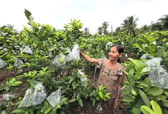 Xây dựng hệ sinh thái nông thôn xanh, bền vững