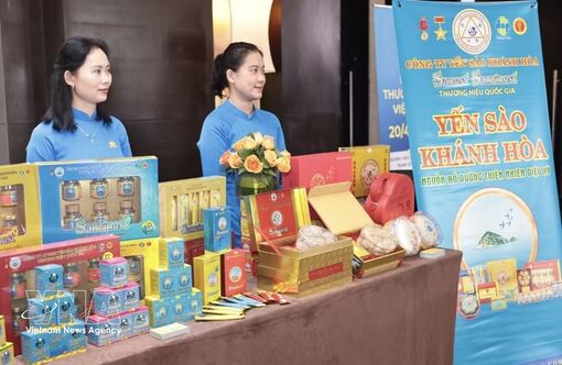Vietnam's national brand value jumps 45% to over 462 bln USD