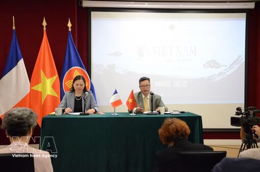 Vietnamese theatre arts to take centre stage in France