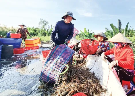 Sản lượng thủy sản 9 tháng đạt 564.794 tấn