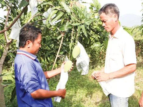 Ứng phó phòng vệ thương mại: Từ “chữa cháy” bị động đến lập “lá chắn” dữ liệu