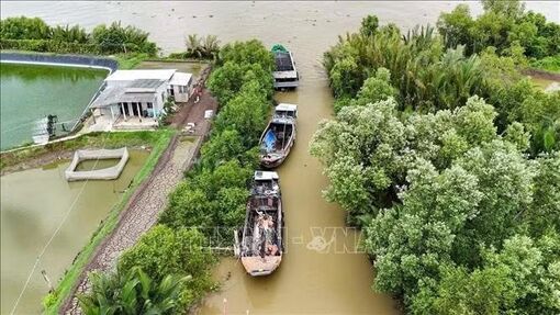 Tackling IUU ‘yellow card’: Tay Ninh tightens fishing fleet management