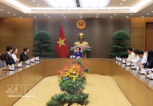 Deputy PM suggests studying long-term development of hospital ship model