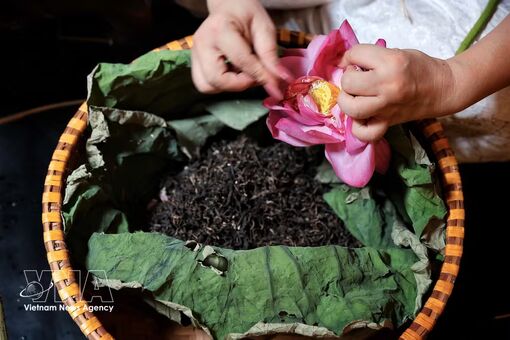 Hanoi to unveil beverage tourism map at 2026 festival