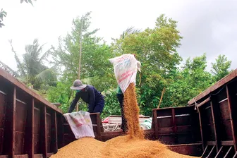 TP Cần Thơ định hướng sản xuất xanh từ gạo và sinh khối