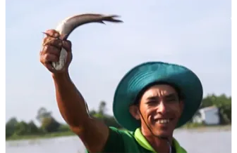 Bức tranh sống động “Qua miền Hậu Giang”