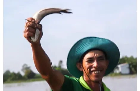 Bức tranh sống động “Qua miền Hậu Giang”